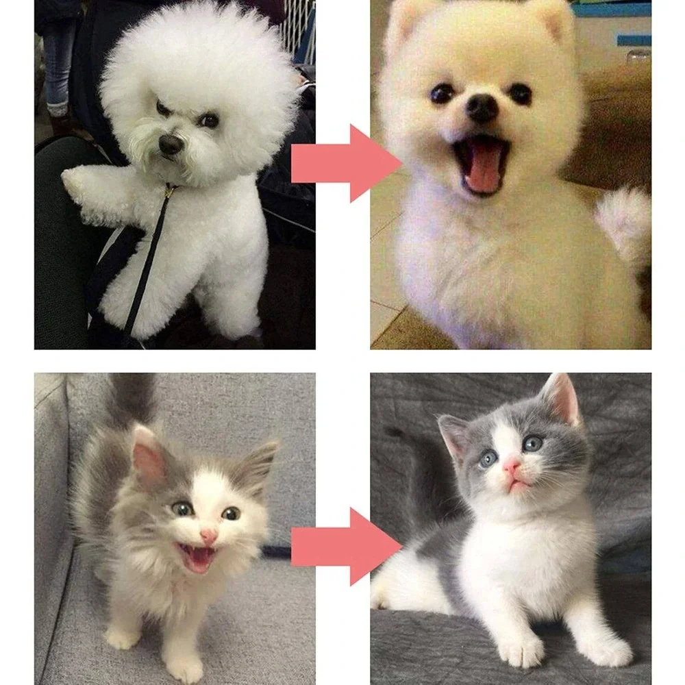 N/A ergonomic pet
